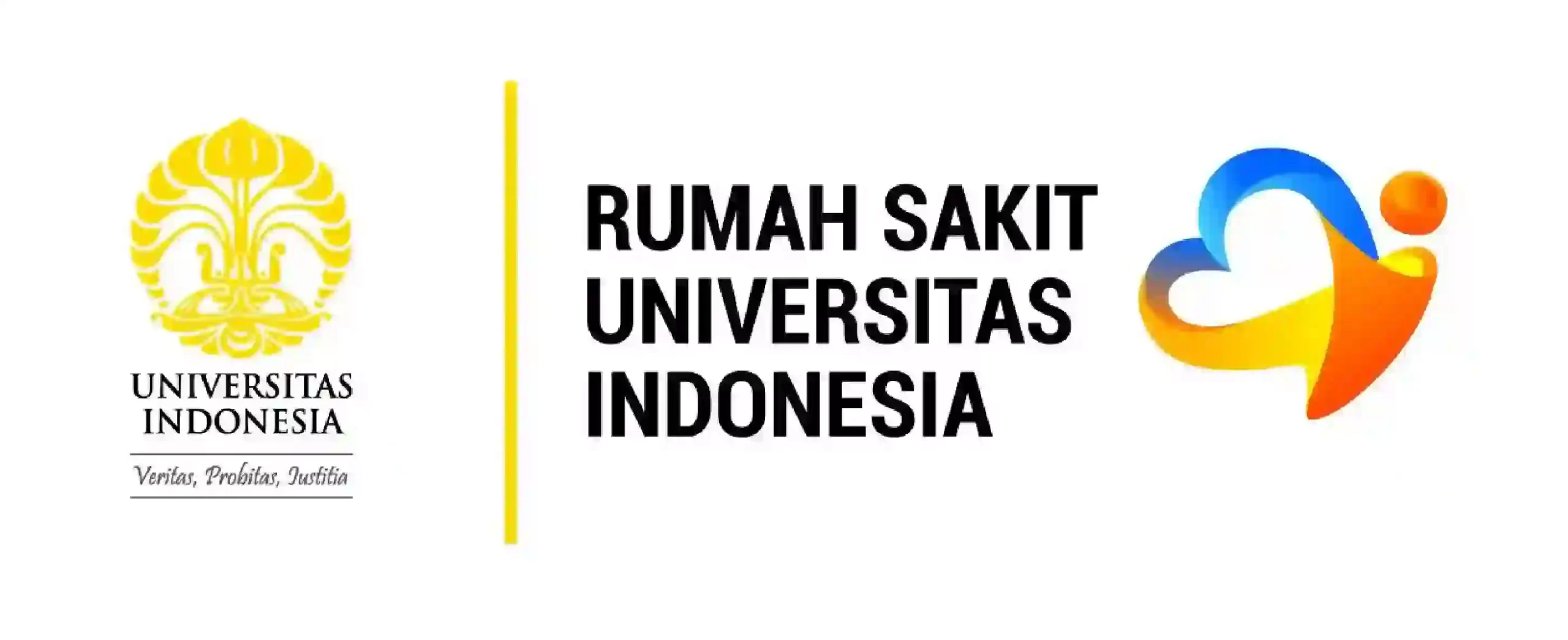RS UI